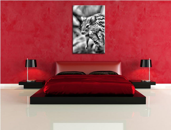 Pixxprint Monocrome, ruhende Feldmaus, Format: 100x70 auf Leinwand, 100x70