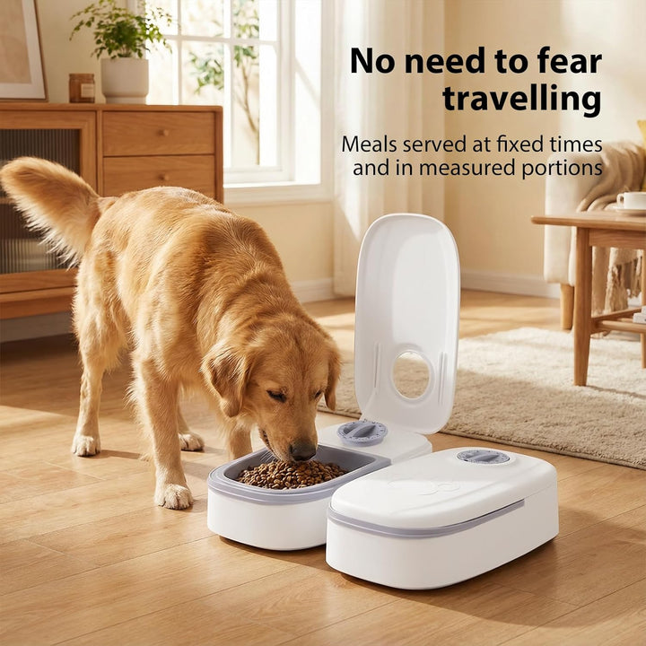 2 x automatischer Futternapf für Katzen und Hunde