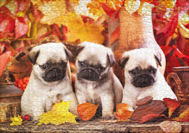 Ulmer Puzzleschmiede - Puzzle „Welpen-Glück“ - Klassisches 1000 Teile Tier-Puzzle – Puzzlemotiv drei