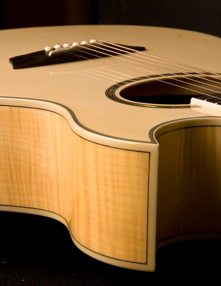 Washburn EA20-A Akustik-E-Gitarre, 6 Saiten, rechts