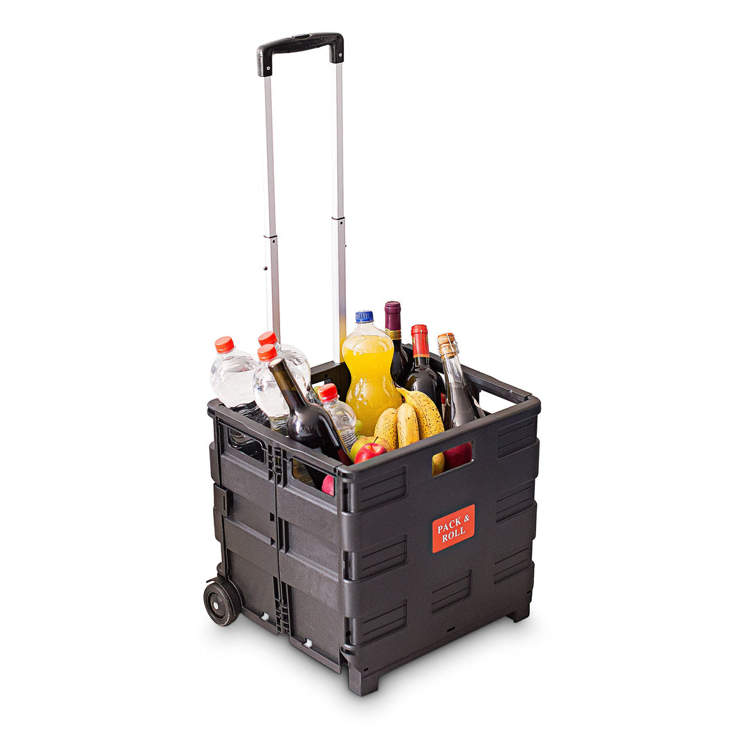 4 x Einkaufstrolley, Klappbar, Einkaufsroller bis 35 kg, Verstellbarer Griff, Mit Rollen, HBT: 100 x