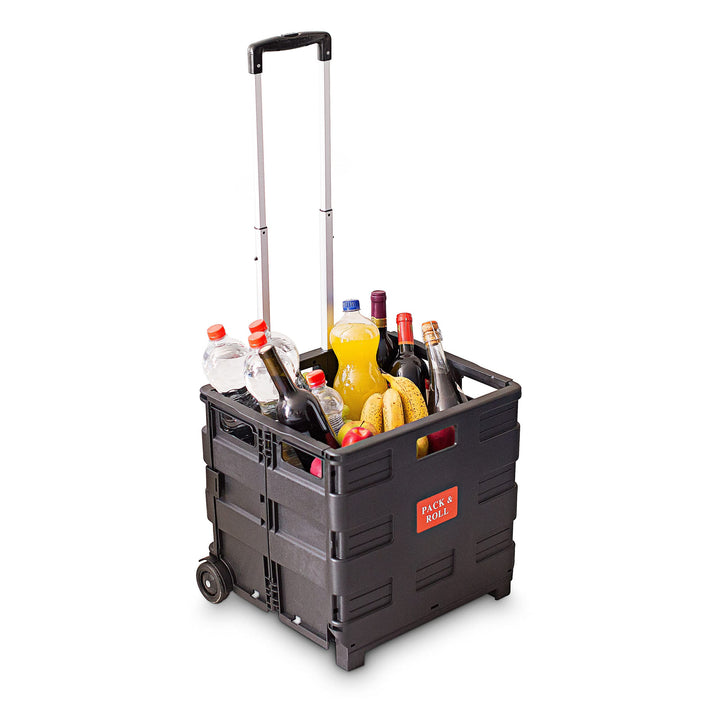4 x Einkaufstrolley, Klappbar, Einkaufsroller bis 35 kg, Verstellbarer Griff, Mit Rollen, HBT: 100 x