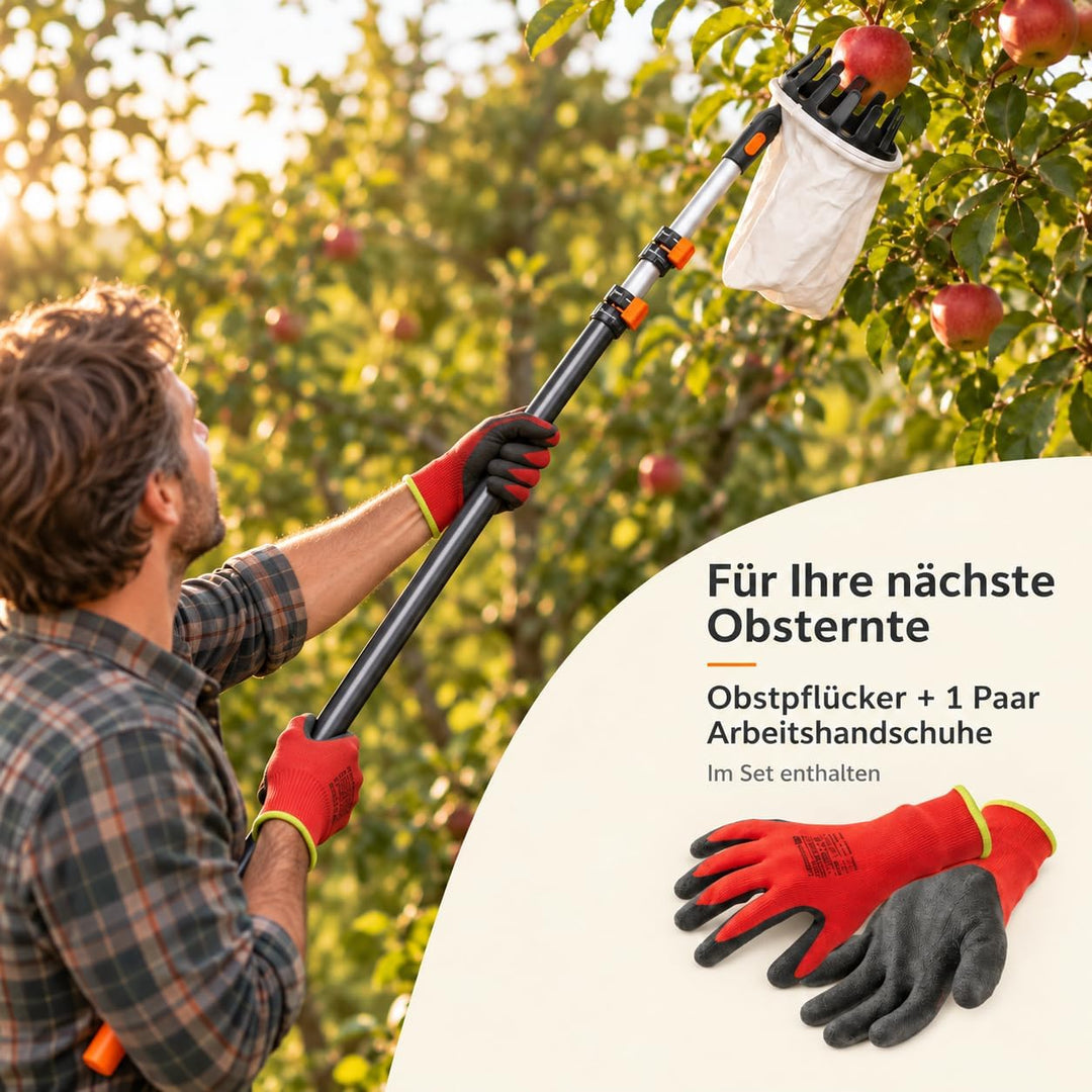 TAMS Obstpflücker mit Teleskopstiel 150–375 cm und Arbeitshandschuhen