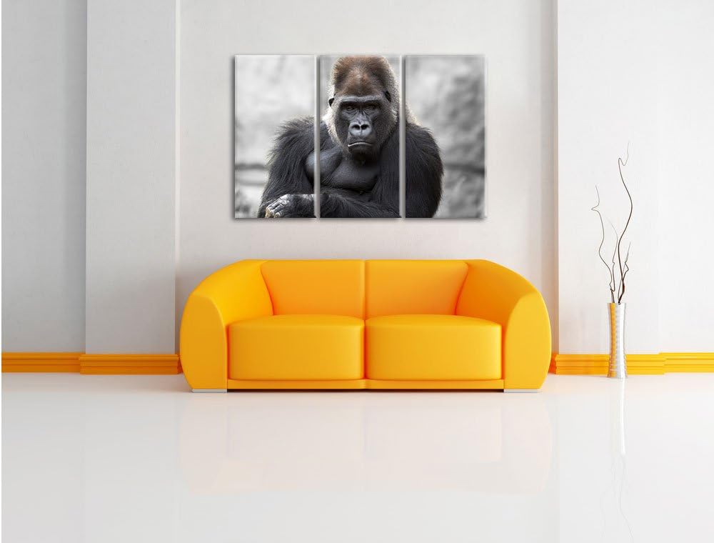 Pixxprint gelangweilter Gorilla als Leinwandbild/Grösse: 3 Teilig (120x80) cm/Wandbild/Kunstdruck/fe