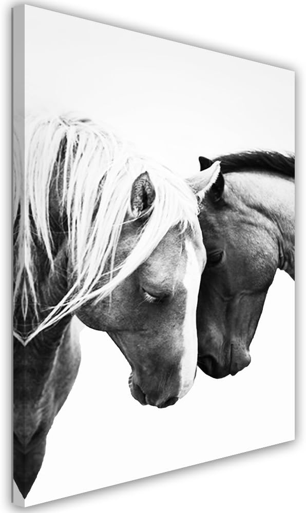 Feeby Frames. Wandbild - 1 Teilig - 70x100 cm, Leinwand Bild Leinwandbilder Bilder Wandbilder Kunstd