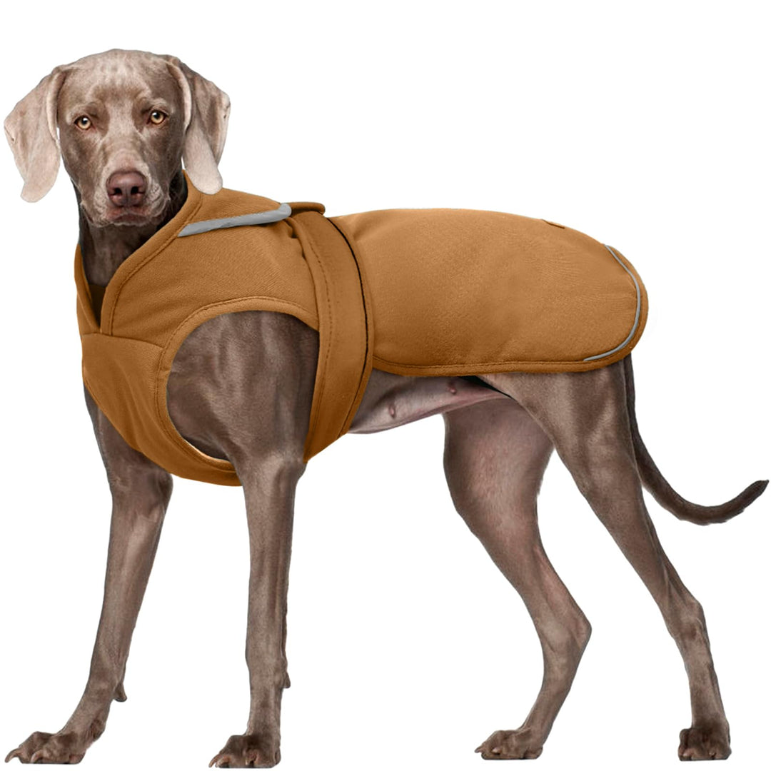 Kuoser Wasserdicht Hundemantel Hundejacke für Kleine Mittelgrosse Hunde, Reflektierende Leinwand Win