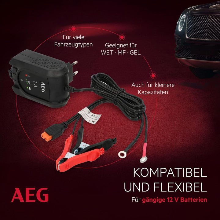 AEG Automotive 97175 Microprozessor Batteriepulser MB 1.0, 12 Volt Batterietrainer 4 stufig, Dauerer