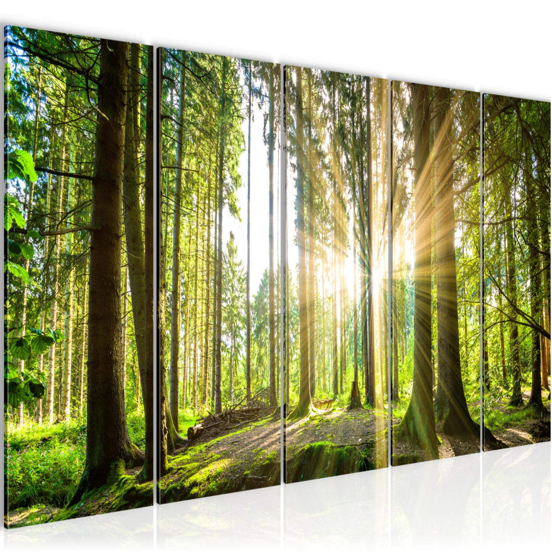 Runa Art Bild Wald Landschaft Wandbilder auf Vlies Leinwand 5 Teilig Wanddekoration Schlafzimmer Woh