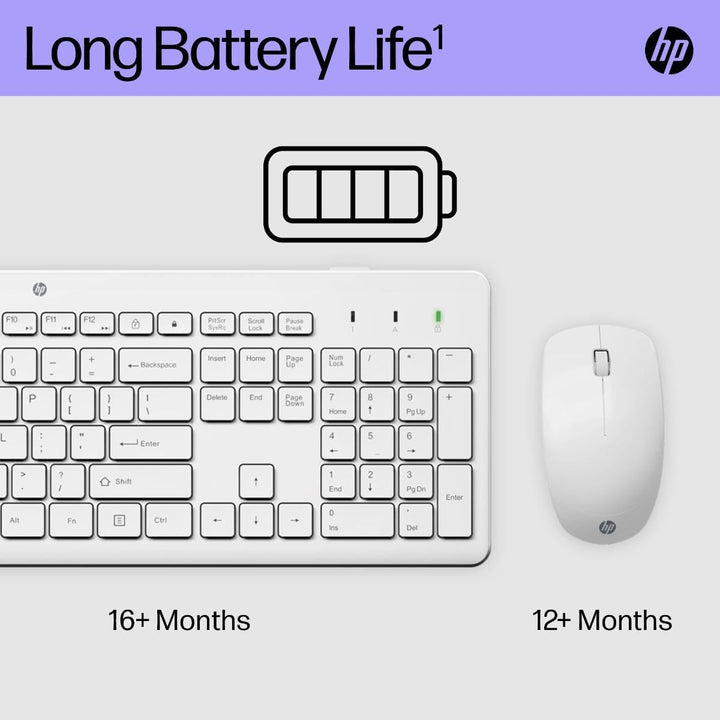 HP 230 kabellose Maus und Tastatur
