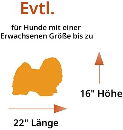 MidWest Homes for Pets iCrate Modell 1524 Hundebox, ca. 61 cm lang, mit Einzeltür, auslaufsicherer B