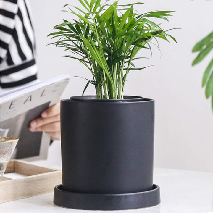 HEMOTON Keramik Sukkulenten Töpfe mit Drainage Runde Pflanzgefässe mit Untertasse Garten Mini Kaktus