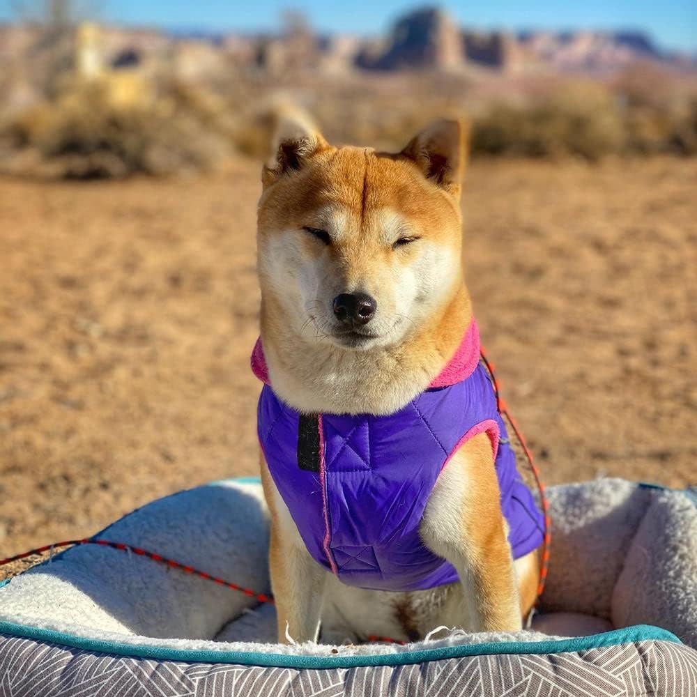 Gooby - Sportweste, Fleece gefütterte kleine Hunde Kaltwetterjacke Mantel Pullover mit reflektierend