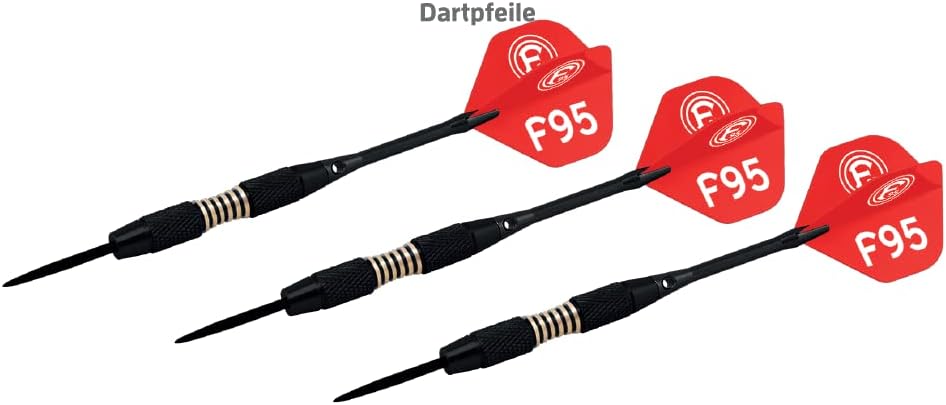 Fortuna Düsseldorf Dartpfeile mit Etui und Flights F95 Steeldarts Dart Pfeile - Plus Lesezeichen Wir