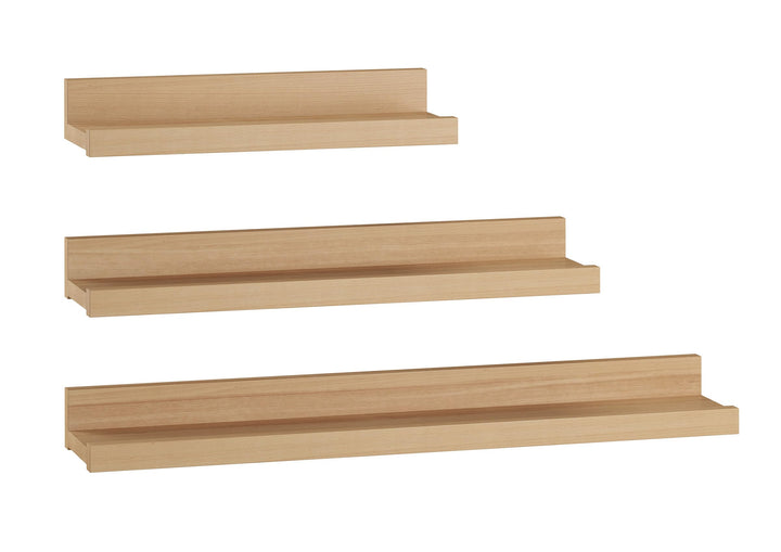 Erst-Holz Bucheablage Regal Fotoleiste für Bilder Bücher und Deko in DREI verschiedenen Längen V-90.