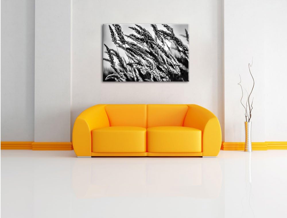 Pixxprint Schilf / 100x70cm Leinwandbild bespannt auf Holzrahmen/Wandbild Kunstdruck Dekoration, 100