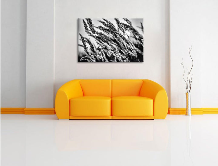 Pixxprint Schilf / 100x70cm Leinwandbild bespannt auf Holzrahmen/Wandbild Kunstdruck Dekoration, 100