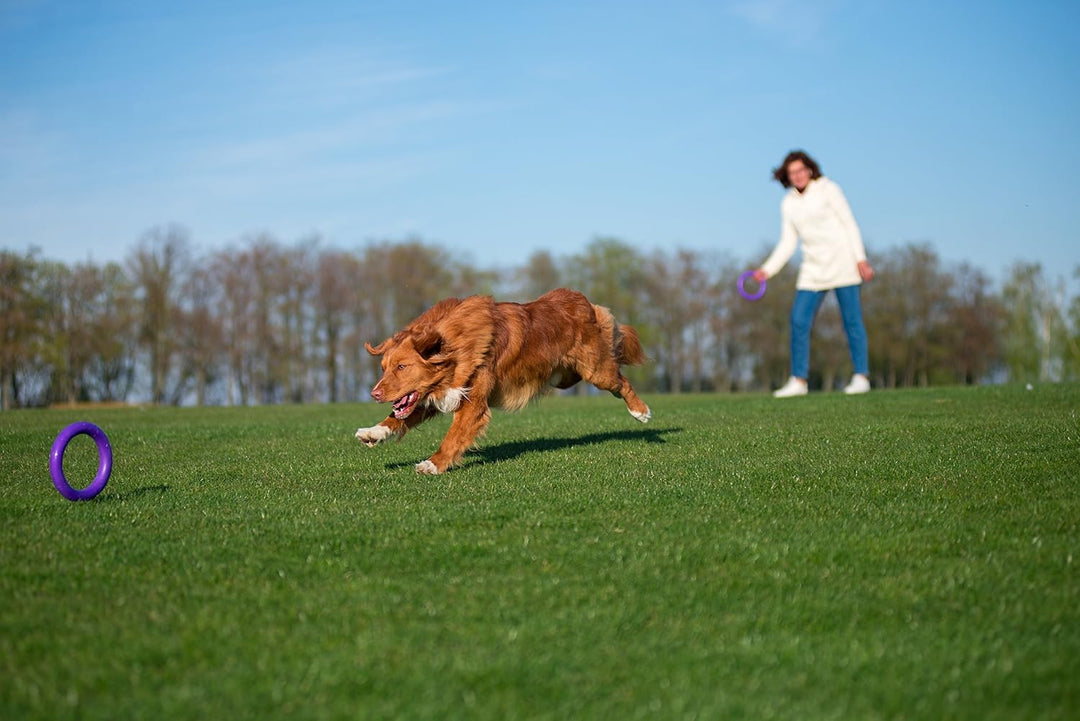 PULLER Midi Interaktives Hundespielzeug Fitness-Tool-Set 19.5 cm/8 in, 19.5 cm/8 in
