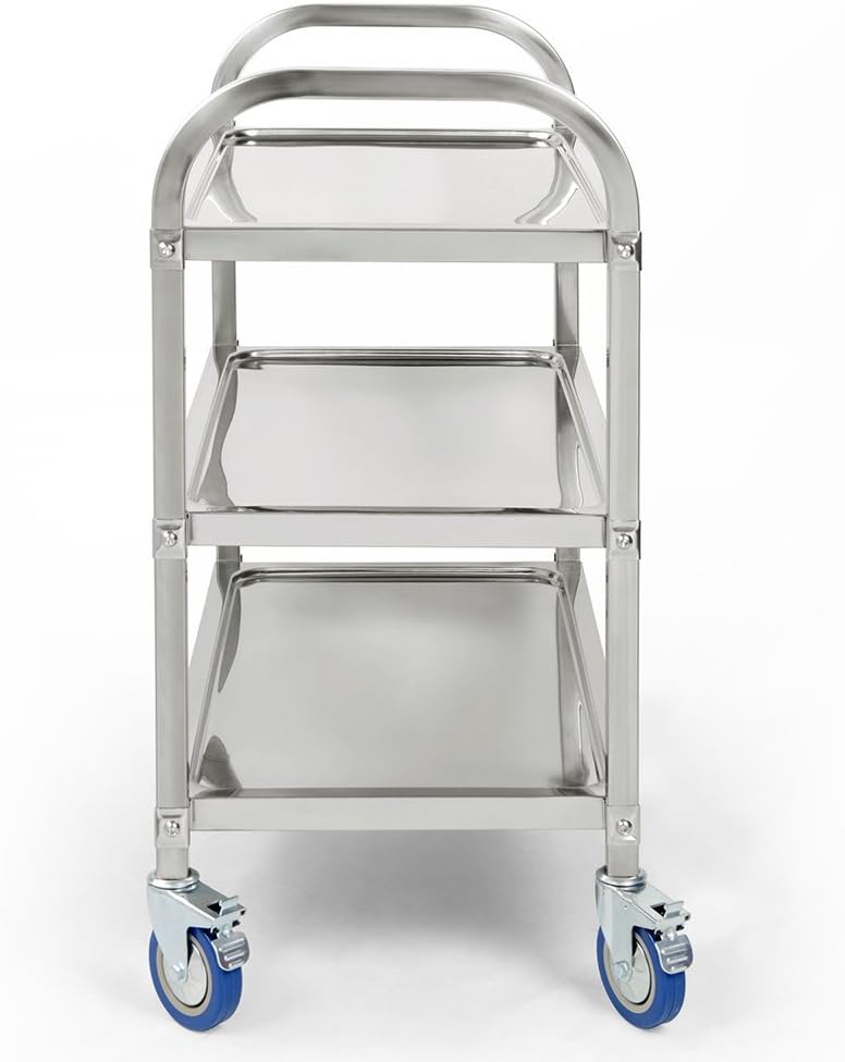 LANTUS Servierwagen mit Rollen, 3 Regale, Servierwagen mit Rollen, 95 x 55 x 95 cm, silberfarben, Ed