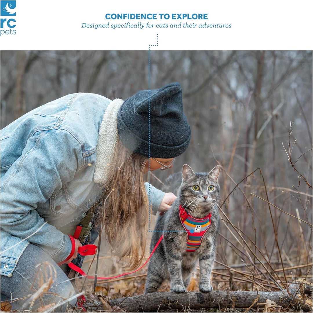 RC Pets, Adventure Kitty Hundegeschirr, Himbeerfarben, gross, 1 Stück Himbeere Small, Himbeere Small