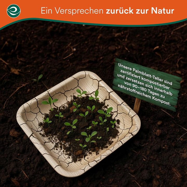 ECO SOUL 100% kompostierbare 20 cm, quadratische Palmblatt Teller [50 Stück] |Premium Palmblatt Gesc