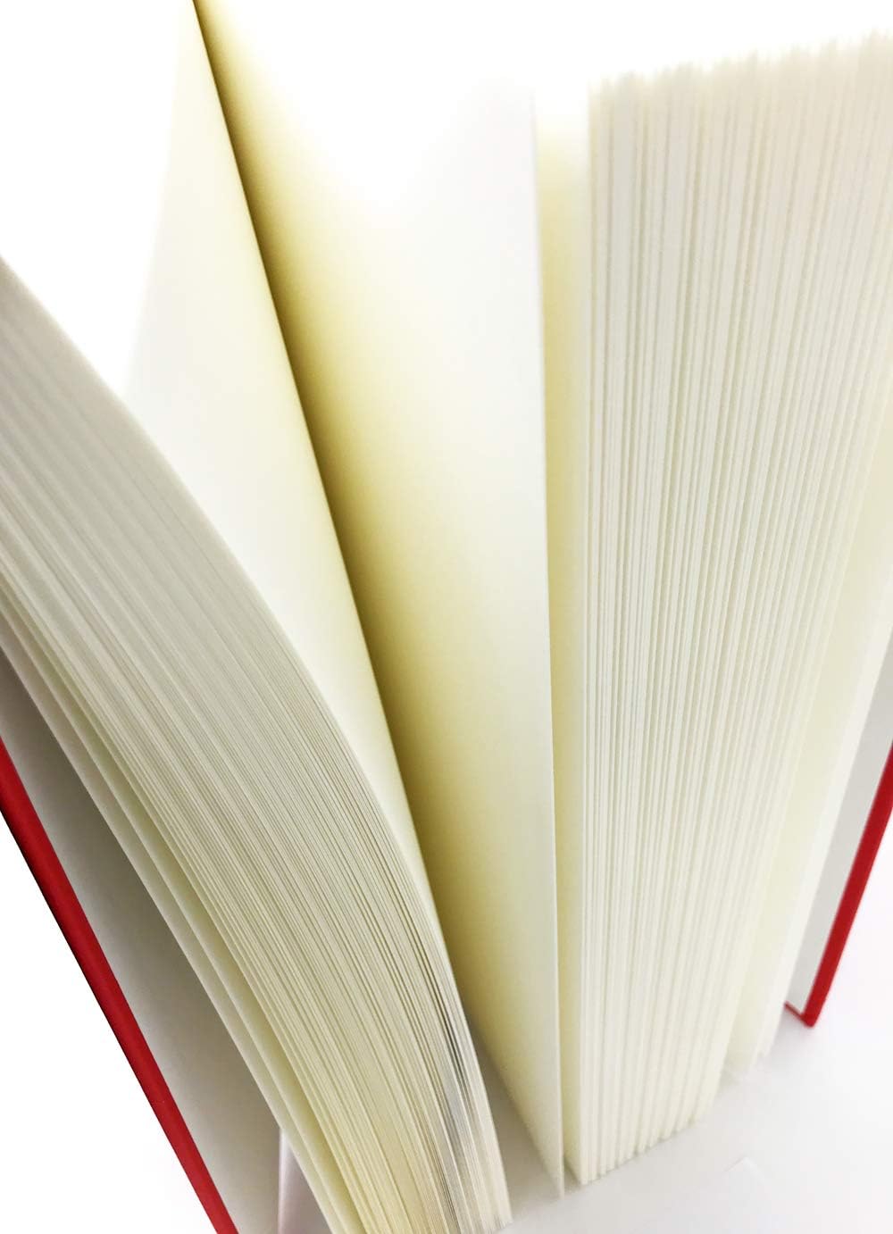 Nikolaus Weihnachtsmann Buch mit ca. 350 leeren Seiten