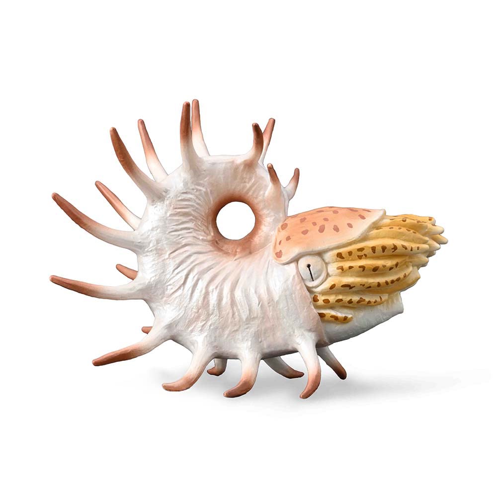 Figurine Préhistoire (XL) : Cooperoceras