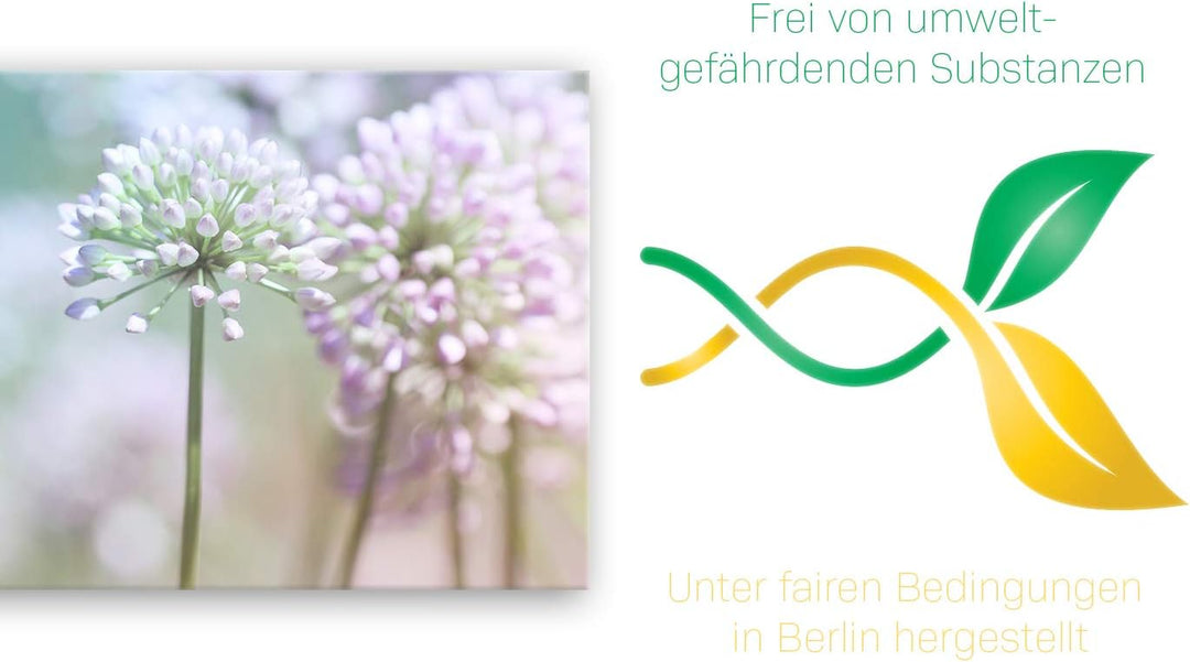 ge Bildet Bild auf Leinwand | Flowering Onion in 100x40 cm als Panorama Wandbild | Wand-deko Dekorat