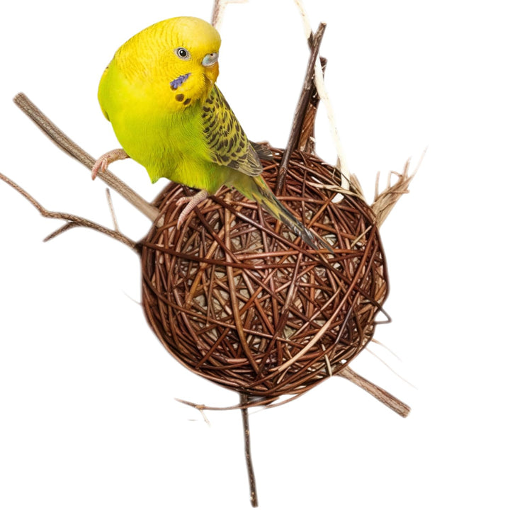 Vogelgaleria® Weidenkugel 20cm gefüllt mit Heu | zum knabbern und Klettern | Natürliches Wellensitti