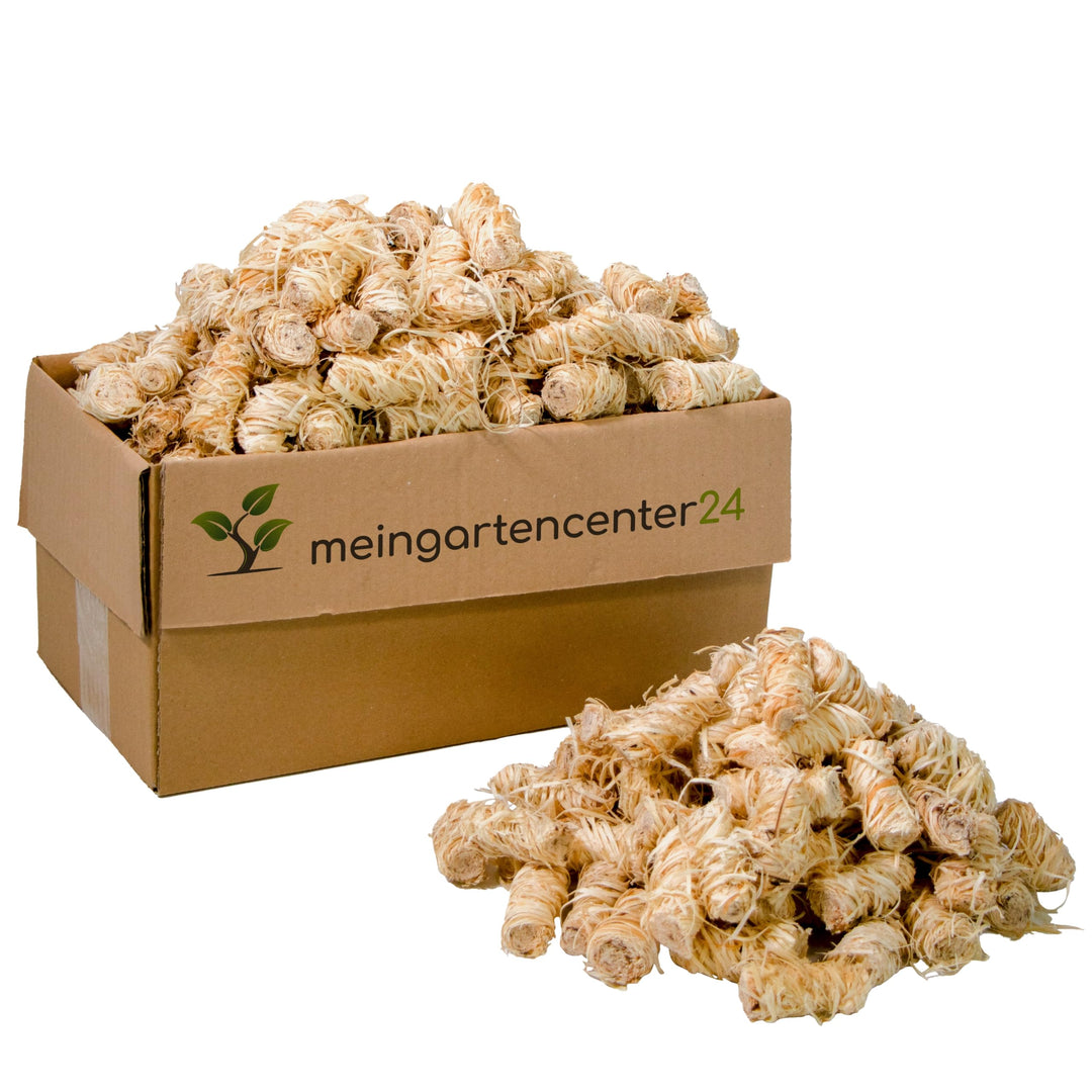 mgc24 Anzünder aus Holzwolle und Wachs Ofenanzünder Kaminanzünder Grillanzünder Ökologisch Kaminholz