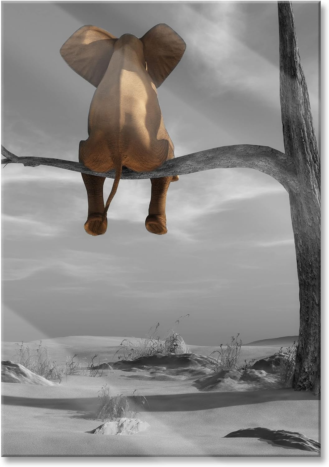 Pixxprint Glasbild | Wandbild aus Echtglas | Elefant auf einem Ast in der Wüste | 60x80 cm | inkl. A