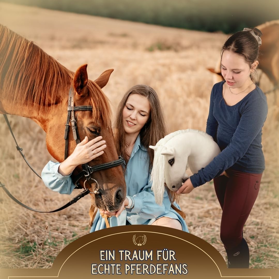Hobby Horse Pferd -A3- Premium Steckenpferd mit Zubehör für Hobby Horsing: Pferde Spielzeug Set mit