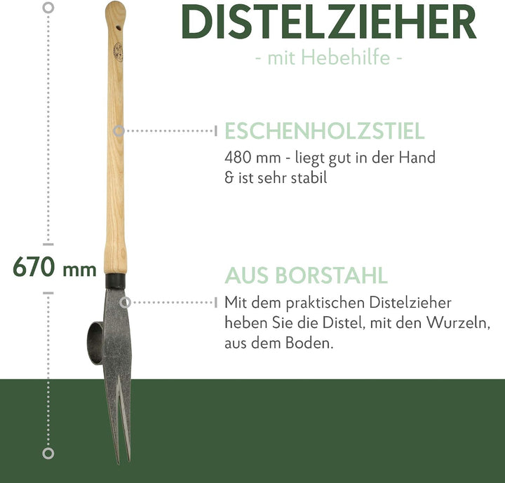 DeWit Distel-Zieher &
