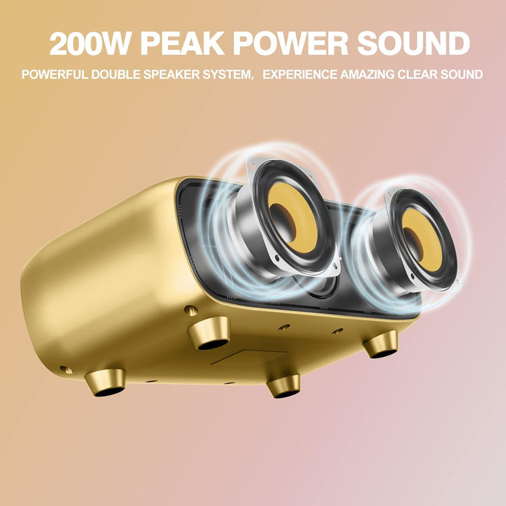 DLARA Upgrade Karaoke Maschine für Erwachsene und Kinder, tragbares Bluetooth 2 UHF drahtloses Karao