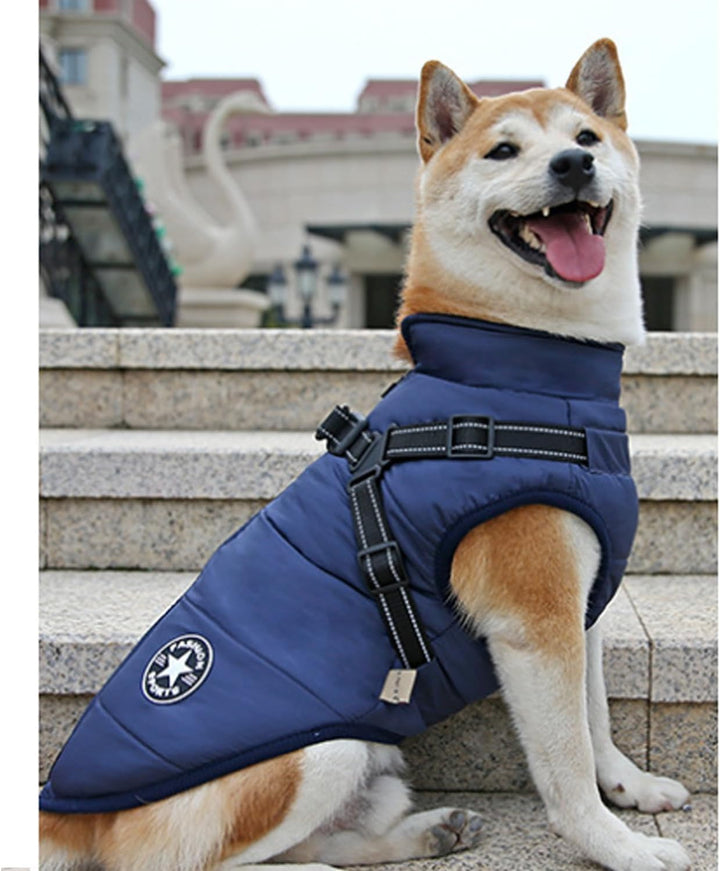 Hundejacke Winterweste Mit Geschirr, Wasserdichter Hundemantel für Kleine Hunde, Maschinenwaschbar,