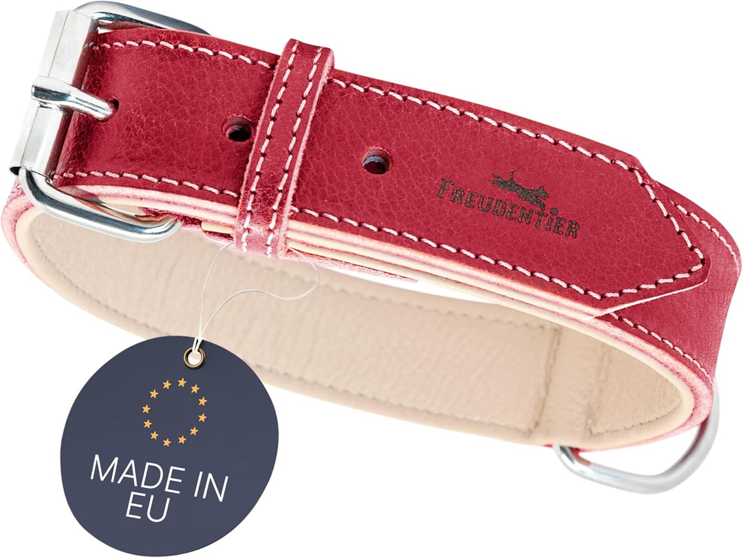 FREUDENTIER® Hundehalsband Leder, gefüttert & komfortabel, hochwertiges breites Lederhalsband aus Vo