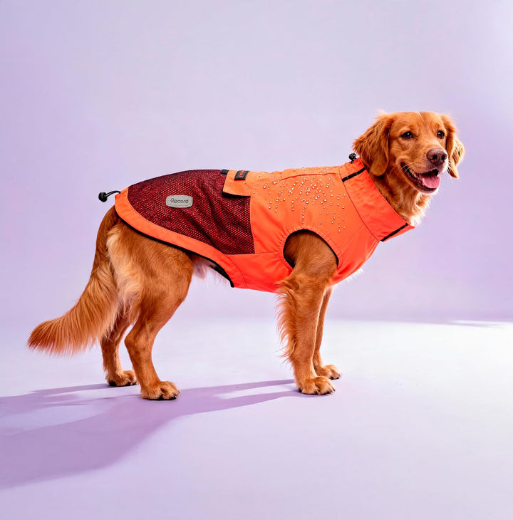 Record - Winddichter Regenmantel für Hunde, bequem, mit elastischen Beinbändern und verstellbarem Ha
