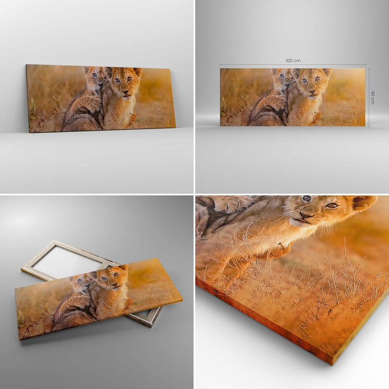 Panorama Bilder auf Leinwand 100x40cm Leinwandbild mit Rahmen Löwe Natur Tier Gross Wanddeko Bild Sc