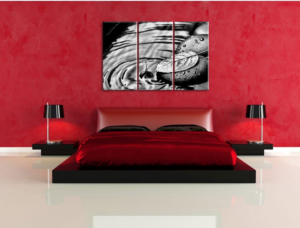 Pixxprint Stein mit Blatt als Leinwandbild/Grösse: 3 Teilig (120x80) cm/Wandbild/Kunstdruck/fertig b