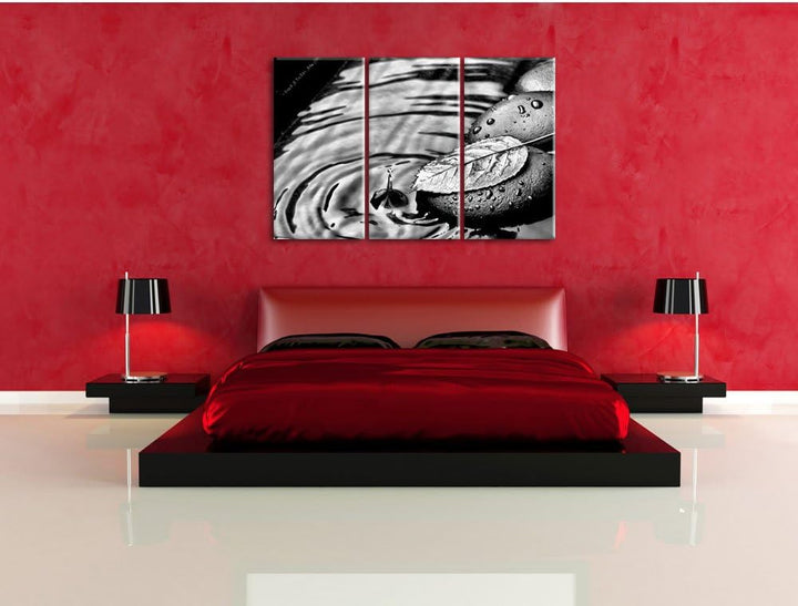 Pixxprint Stein mit Blatt als Leinwandbild/Grösse: 3 Teilig (120x80) cm/Wandbild/Kunstdruck/fertig b