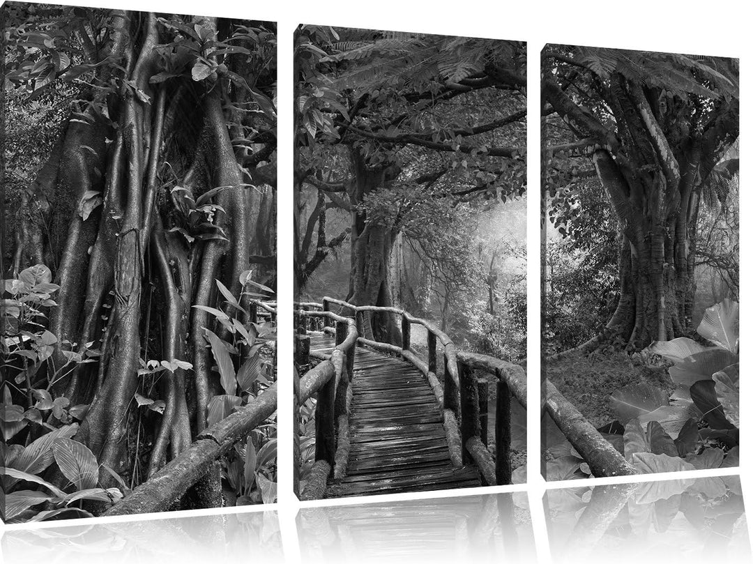 Pixxprint Tropenwald / 3-Teilig/Gesamtmass 120cm Leinwandbild bespannt auf Holzrahmen/Wandbild Kunst