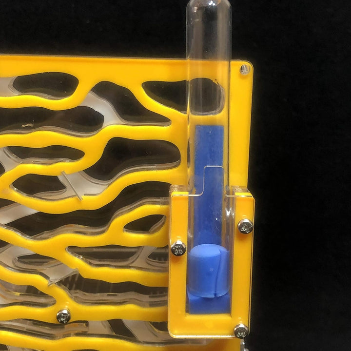 DIY Grosse Ameisenfarm aus Acryl mit Fütterungsbereich Grosses Ameisenhaus Ameisennest Villa Insekt