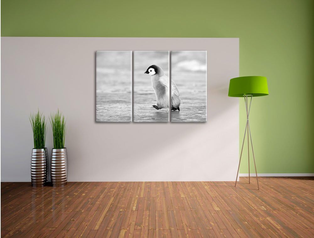 Pixxprint Kaiserpinguinkücken als Leinwandbild/Grösse: 3 Teilig (120x80) cm/Wandbild/Kunstdruck/fert