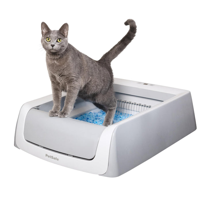 PetSafe ScoopFree selbstreinigende Katzentoilette Automatisches System mit Einwegschale und Kristall