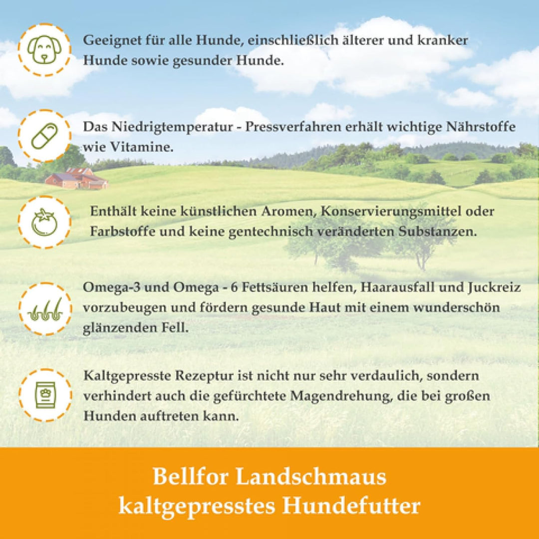 Bellfor Futterset für Deutsch Kurzhaar Getreidefreies Trockenfutter mit Huhn 4 kg Dental Sticks 100