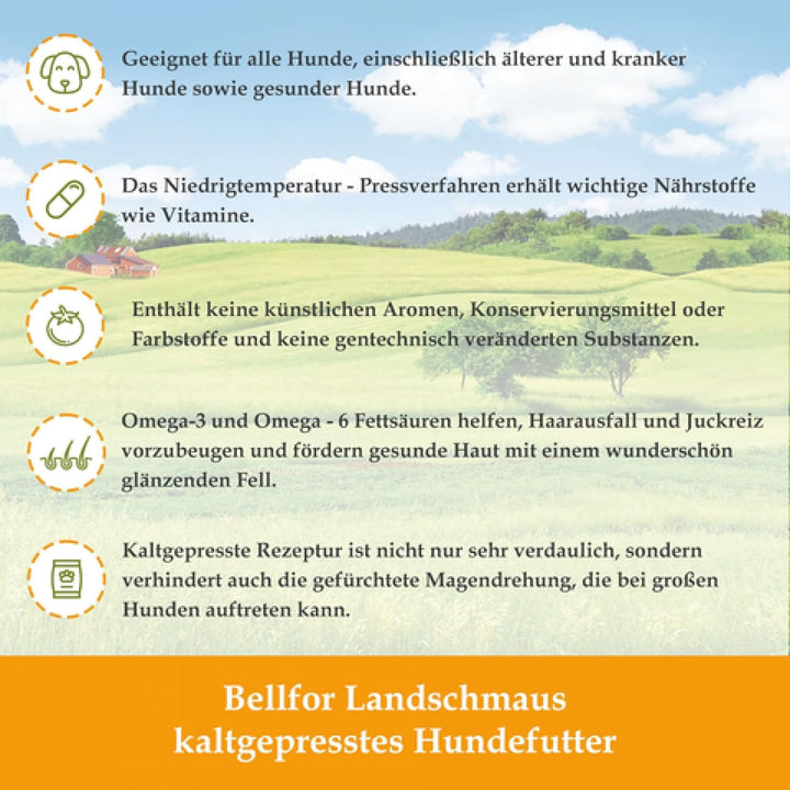Bellfor Futterset für Deutsch Kurzhaar Getreidefreies Trockenfutter mit Huhn 4 kg Dental Sticks 100