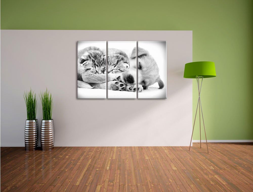 Pixxprint Hundewelpe mit kleinen Kätzchen als Leinwandbild/Grösse: 3 Teilig (120x80) / Wandbild/Kuns