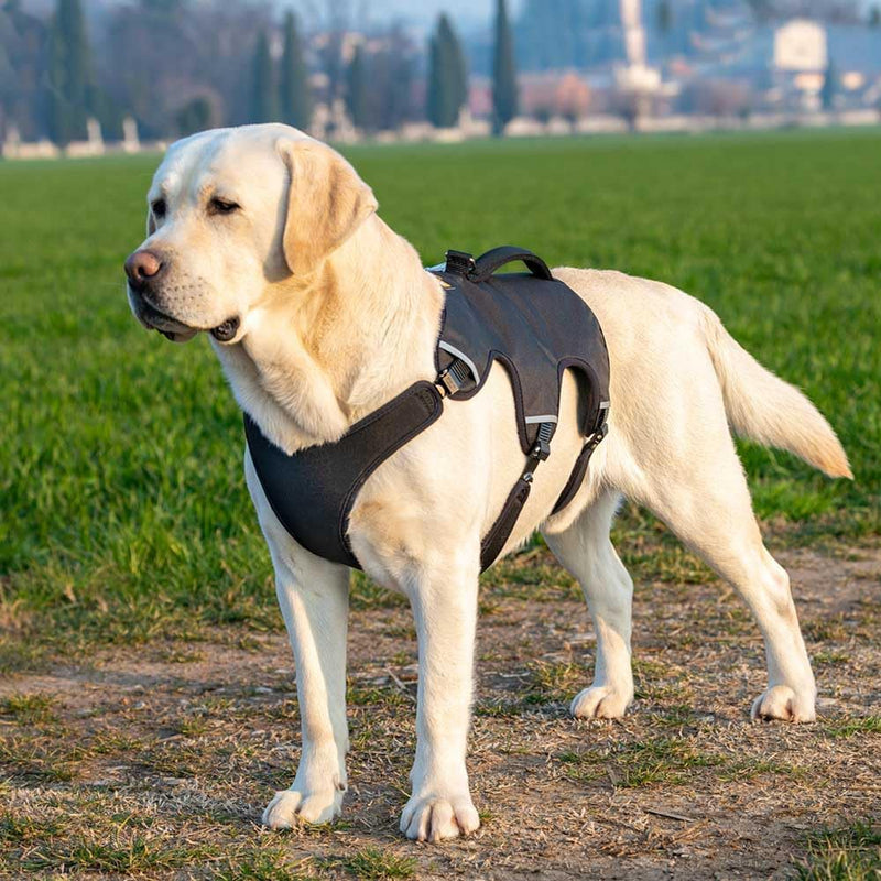 Ferplast Ergonomisches Hundegeschirr Grosse Hunde ERGOTREKKING Small, Geschirr Hund Sechs Verschlüss