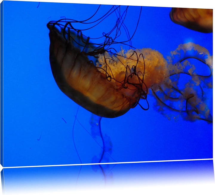 Pixxprint anmutige Qualle im Wasser auf Leinwand, XXL riesige Bilder fertig gerahmt mit Keilrahmen,