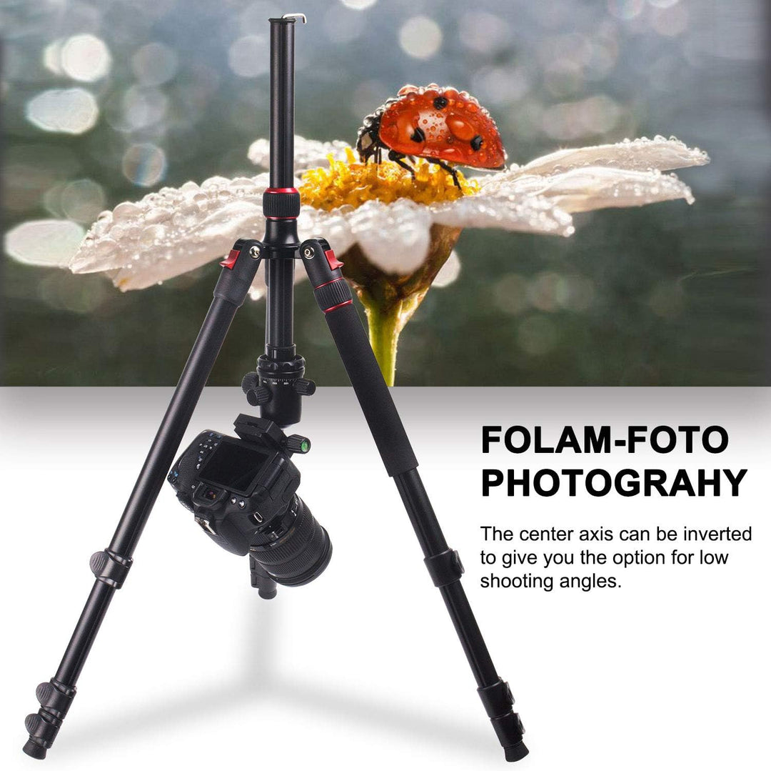 POLAM-FOTO 168cm Kamera Stativ Aluminiumlegierungen Stativ mit Einbeinstativ und 360° Kugelkopf， Rei
