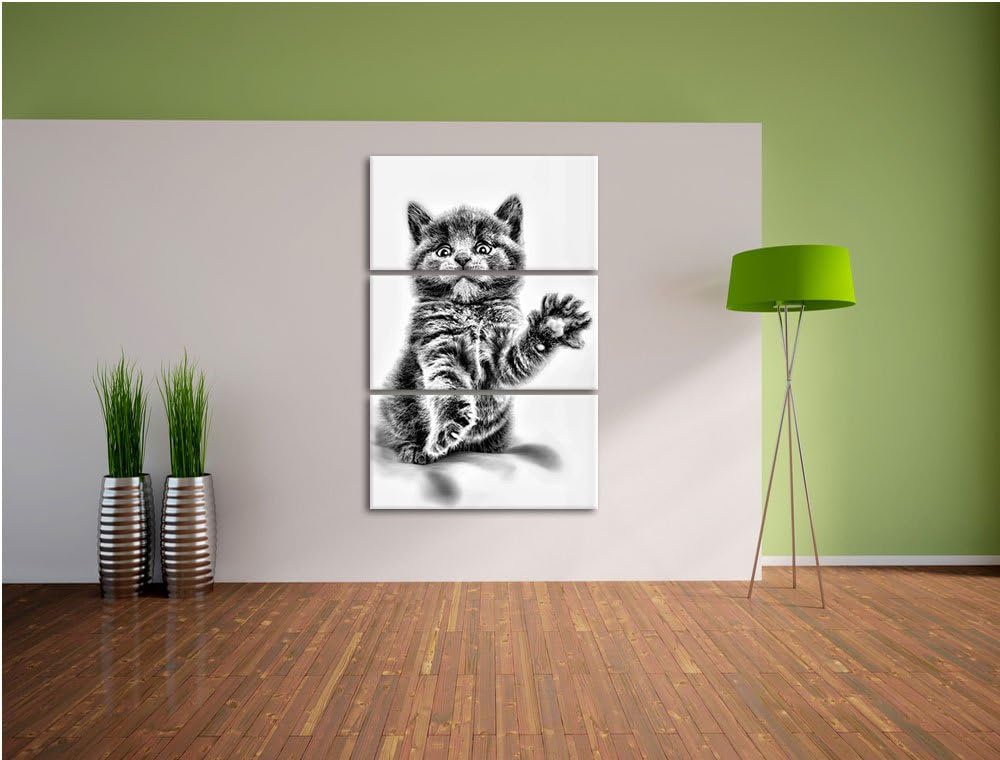 Pixxprint Babykatze die bettelt als Leinwandbild/Grösse: 3 Teilig (120x80) / Wandbild/Kunstdruck/fer